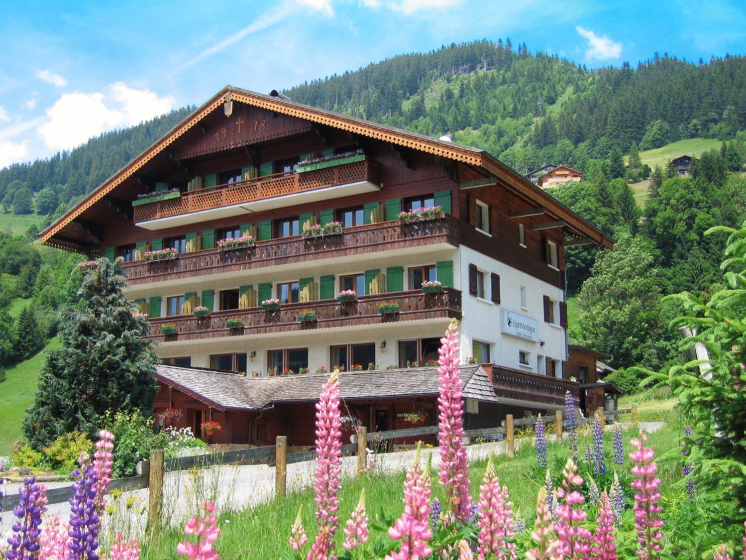 Hotel Esprit Montagne Abondance Zewnętrze zdjęcie